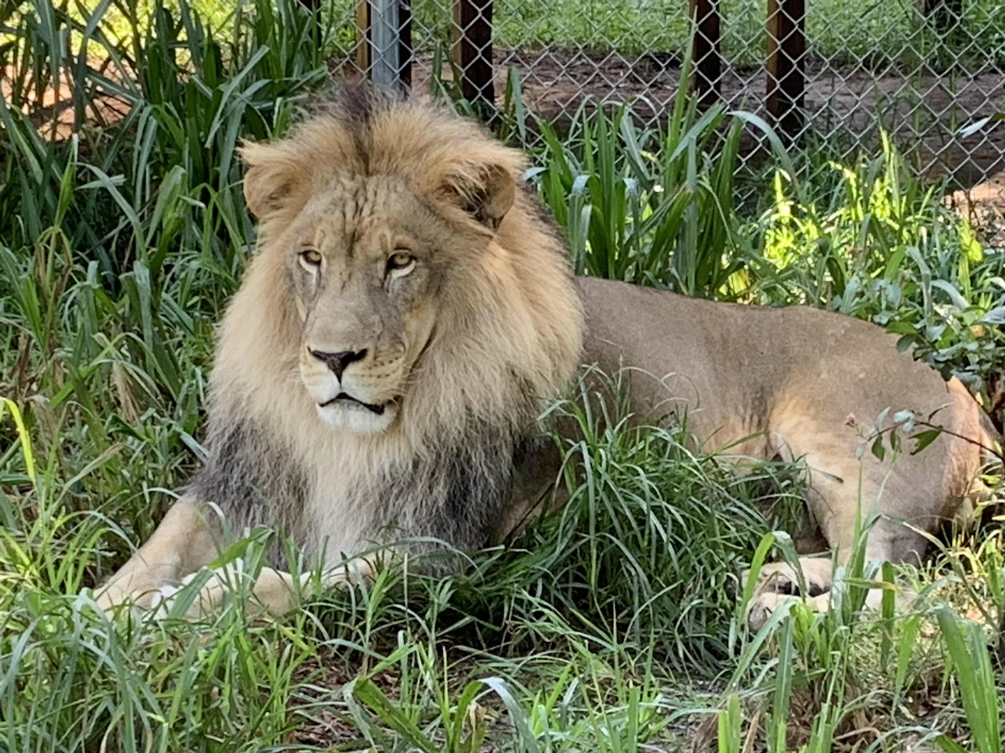 Catty Shack Ranch Wildlife Sanctuary | Visit Jacksonville