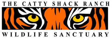 Catty Shack Ranch Wildlife Sanctuary | Visit Jacksonville